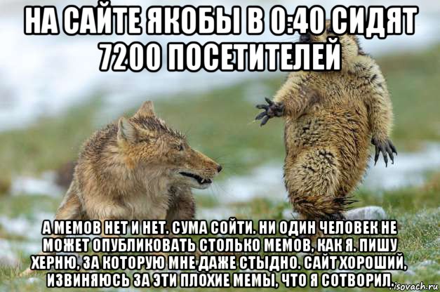 на сайте якобы в 0:40 сидят 7200 посетителей а мемов нет и нет. сума сойти. ни один человек не может опубликовать столько мемов, как я. пишу херню, за которую мне даже стыдно. сайт хороший, извиняюсь за эти плохие мемы, что я сотворил., Мем Волк и суслик