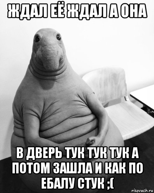 ждал её ждал а она в дверь тук тук тук а потом зашла и как по ебалу стук ;(, Мем  Ждун