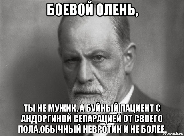 боевой олень, ты не мужик, а буйный пациент с андоргиной сепарацией от своего пола,обычный невротик и не более.