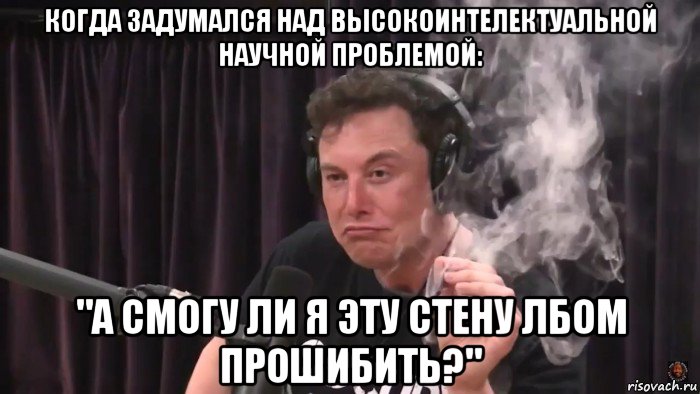 когда задумался над высокоинтелектуальной научной проблемой: "а смогу ли я эту стену лбом прошибить?", Мем Илон Маск