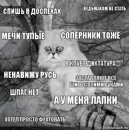 Спишь в доспехах Заставляют всё шить своими руками Соперники тоже Хотел просто фехтовать Ненавижу Русь Ведьмаком не стать А у меня лапки Мечи тупые Шпаг нет В клубе диктатура, Комикс  кот безысходность