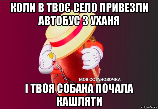 коли в твоє село привезли автобус з уханя і твоя собака почала кашляти