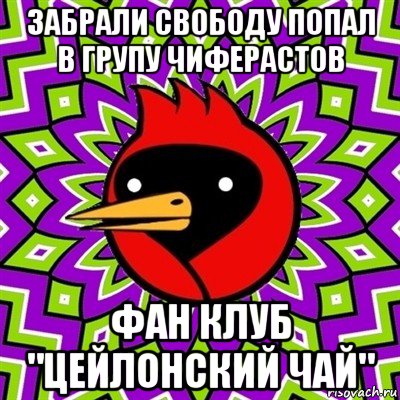 забрали свободу попал в групу чиферастов фан клуб "цейлонский чай", Мем Омская птица