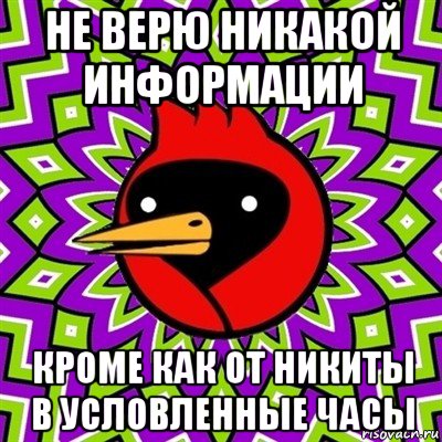 не верю никакой информации кроме как от никиты в условленные часы, Мем Омская птица