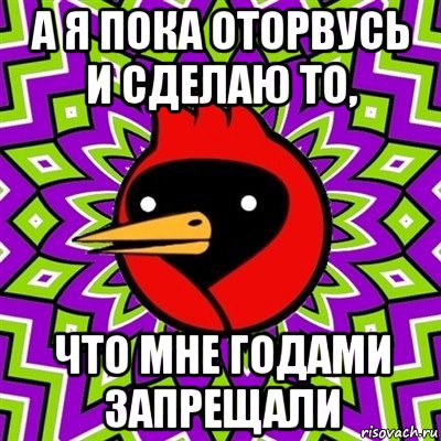 а я пока оторвусь и сделаю то, что мне годами запрещали, Мем Омская птица