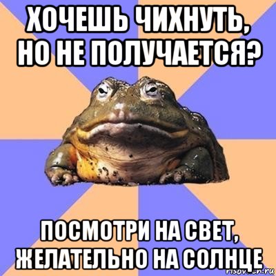 хочешь чихнуть, но не получается? посмотри на свет, желательно на солнце