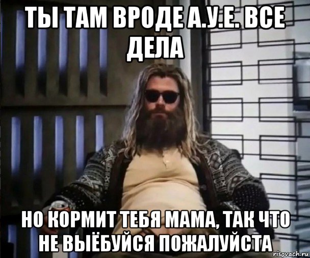 ты там вроде а.у.е. все дела но кормит тебя мама, так что не выёбуйся пожалуйста, Мем Толстый Тор