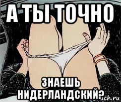 а ты точно знаешь нидерландский?