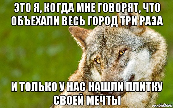 это я, когда мне говорят, что объехали весь город три раза и только у нас нашли плитку своей мечты, Мем   Volf