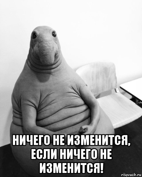  ничего не изменится, если ничего не изменится!, Мем  Ждун