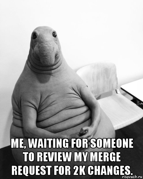  me, waiting for someone to review my merge request for 2k changes., Мем  Ждун