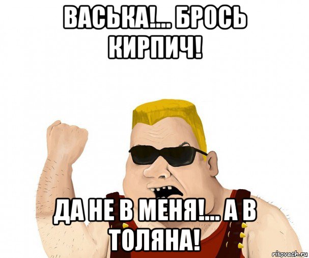 васька!... брось кирпич! да не в меня!... а в толяна!