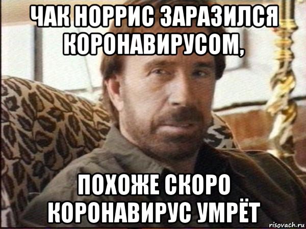 чак норрис заразился коронавирусом, похоже скоро коронавирус умрёт, Мем чак норрис