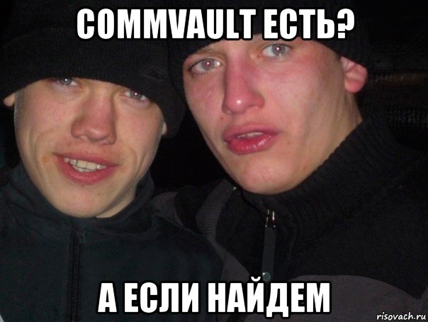 commvault есть? а если найдем, Мем гопники