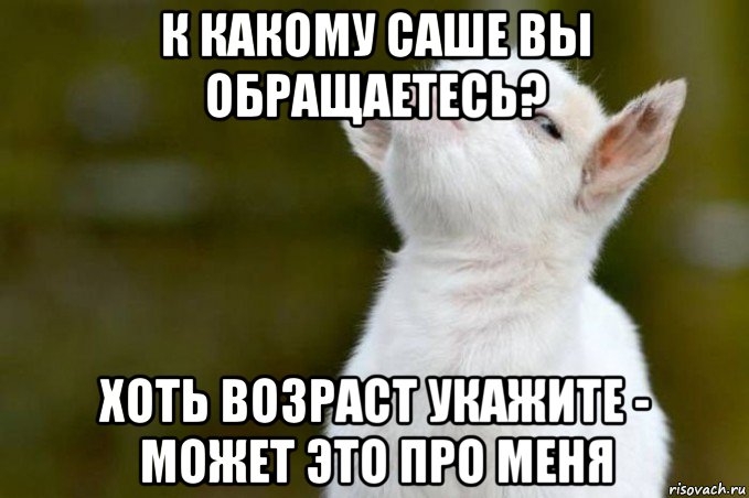 к какому саше вы обращаетесь? хоть возраст укажите - может это про меня, Мем  Гордый козленок