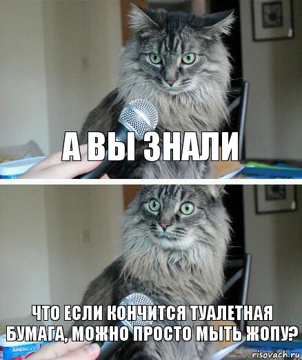 А вы знали Что если кончится туалетная бумага, можно просто мыть жопу?, Комикс  кот с микрофоном