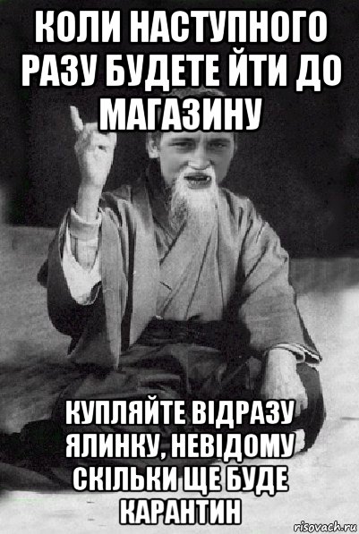 коли наступного разу будете йти до магазину купляйте відразу ялинку, невідому скільки ще буде карантин, Мем Мудрий паца