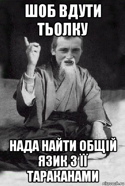 шоб вдути тьолку нада найти общій язик з її тараканами, Мем Мудрий паца