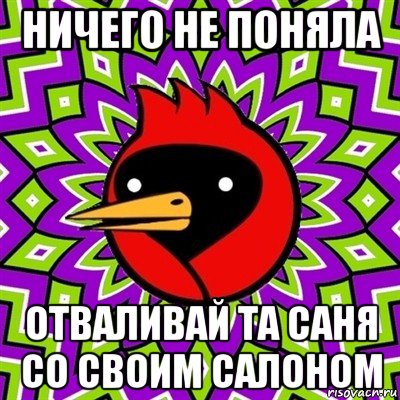 ничего не поняла отваливай та саня со своим салоном, Мем Омская птица