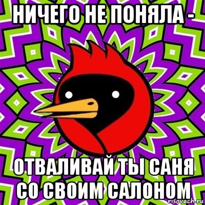 ничего не поняла - отваливай ты саня со своим салоном, Мем Омская птица