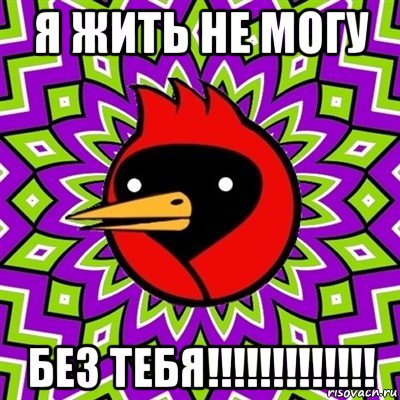 я жить не могу без тебя!!!!!!!!!!!!!, Мем Омская птица