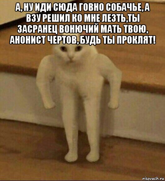 а, ну иди сюда говно собачье, а взу решил ко мне лезть,ты засранец вонючий мать твою, анонист чертов, будь ты проклят! , Мем  Полукот