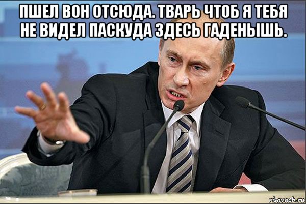 пшел вон отсюда. тварь чтоб я тебя не видел паскуда здесь гаденышь. , Мем Путин