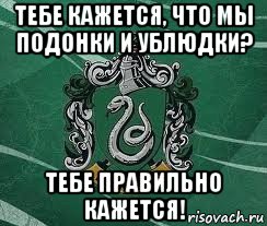 тебе кажется, что мы подонки и ублюдки? тебе правильно кажется!, Мем Слизерин