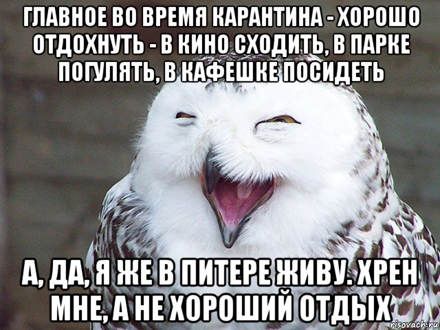 главное во время карантина - хорошо отдохнуть - в кино сходить, в парке погулять, в кафешке посидеть а, да, я же в питере живу. хрен мне, а не хороший отдых