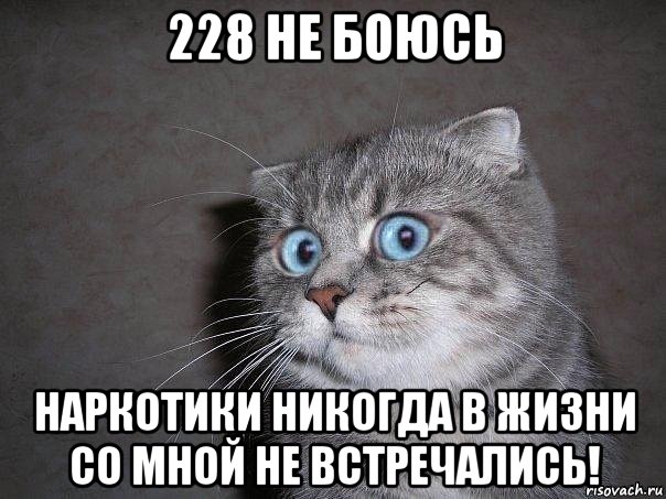 228 не боюсь наркотики никогда в жизни со мной не встречались!