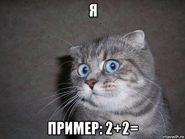 я пример: 2+2=