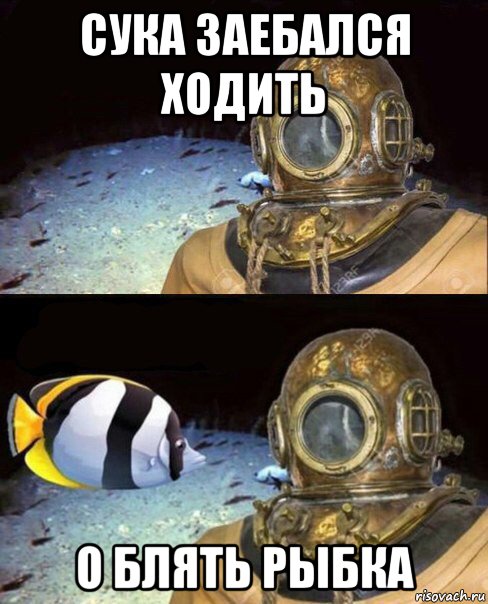 сука заебался ходить о блять рыбка