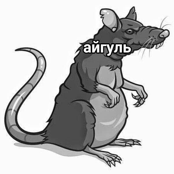 Айгуль Мем