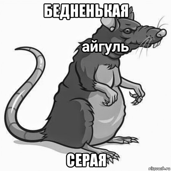 Айгуль Мем