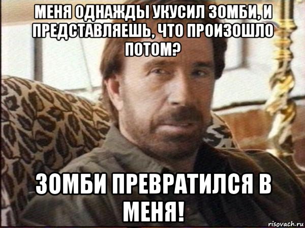 меня однажды укусил зомби, и представляешь, что произошло потом? зомби превратился в меня!, Мем чак норрис