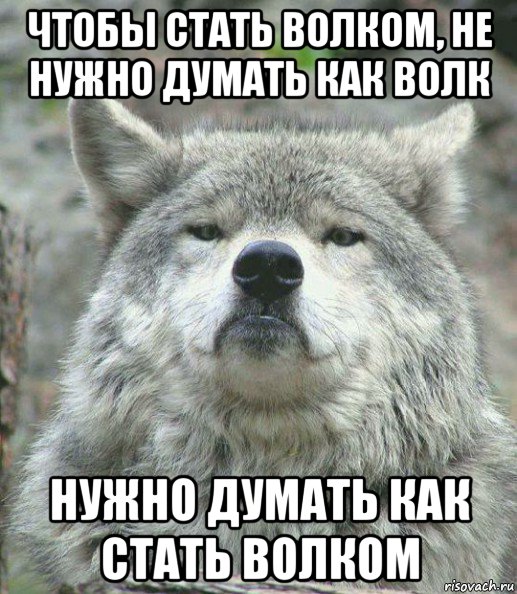 чтобы стать волком, не нужно думать как волк нужно думать как стать волком, Мем    Гордый волк