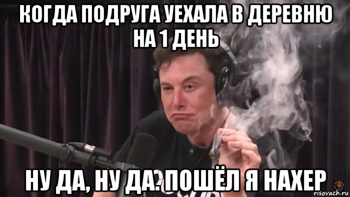 когда подруга уехала в деревню на 1 день ну да, ну да. пошёл я нахер, Мем Илон Маск