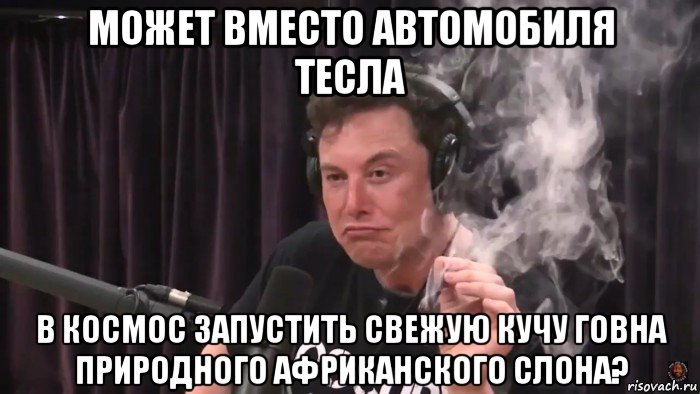 может вместо автомобиля тесла в космос запустить свежую кучу говна природного африканского слона?, Мем Илон Маск