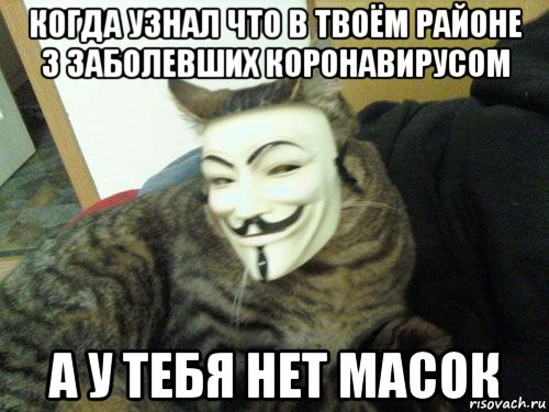 когда узнал что в твоём районе 3 заболевших коронавирусом а у тебя нет масок, Мем Кот анонимус