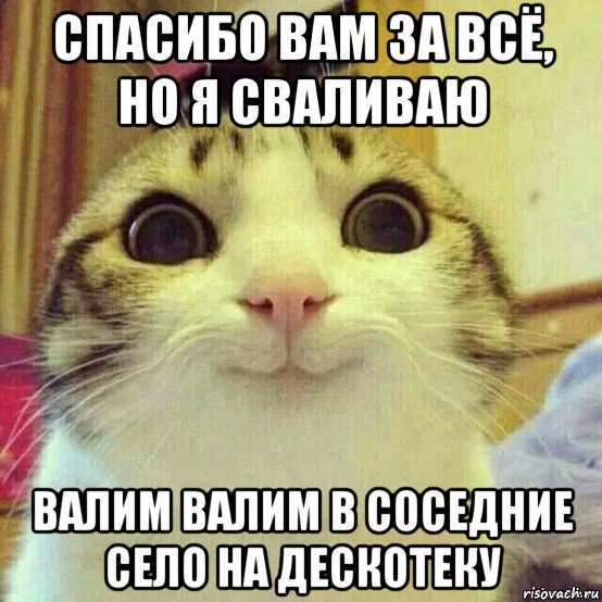 спасибо вам за всё, но я сваливаю валим валим в соседние село на дескотеку, Мем       Котяка-улыбака