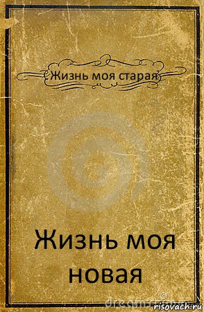 Жизнь моя старая Жизнь моя новая, Комикс обложка книги