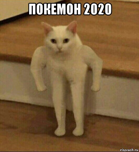 покемон 2020 , Мем  Полукот