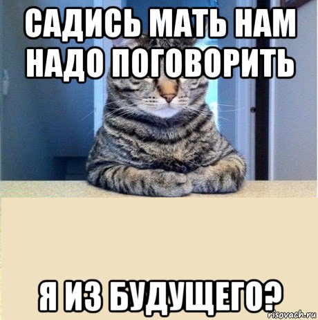 Сядь мам. Садись нам надо поговорить. Садись человек нам нужно поговорить. Серьезный кот нам надо поговорить. Человек сядь нам надо поговорить.