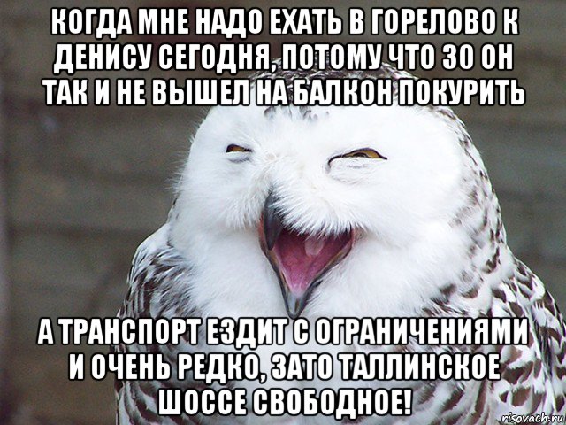 когда мне надо ехать в горелово к денису сегодня, потому что 30 он так и не вышел на балкон покурить а транспорт ездит с ограничениями и очень редко, зато таллинское шоссе свободное!