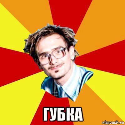  губка