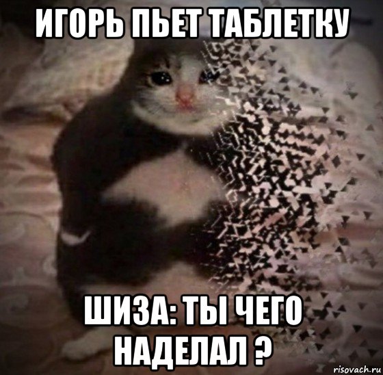 Кто это наделал картинка