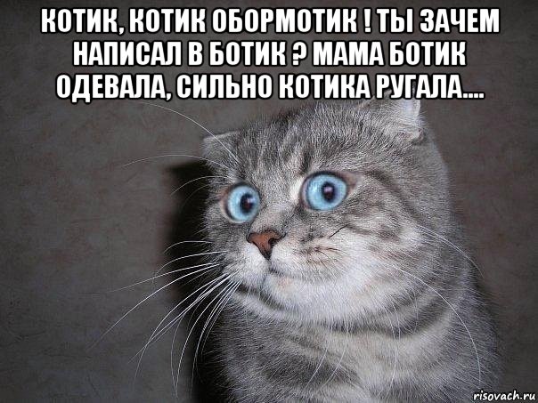 котик, котик обормотик ! ты зачем написал в ботик ? мама ботик одевала, сильно котика ругала.... 