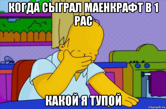 когда сыграл маенкрафт в 1 рас какой я тупой, Мем Homer simpson facepalm