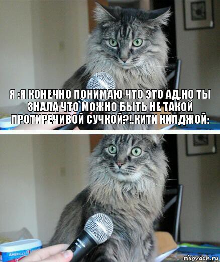 Я :Я КОНЕЧНО ПОНИМАЮ ЧТО ЭТО АД,НО ТЫ ЗНАЛА ЧТО МОЖНО БЫТЬ НЕ ТАКОЙ ПРОТИРЕЧИВОЙ СУЧКОЙ?!.КИТИ КИЛДЖОЙ: 