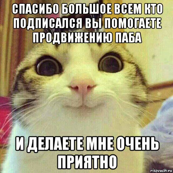 спасибо большое всем кто подписался вы помогаете продвижению паба и делаете мне очень приятно, Мем       Котяка-улыбака